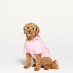 COTTON FLEECE PET HOODIE | BABY PINK