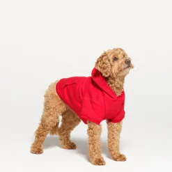 COTTON FLEECE PET HOODIE | RUBY