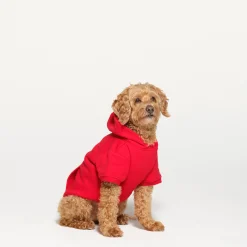 COTTON FLEECE PET HOODIE | RUBY