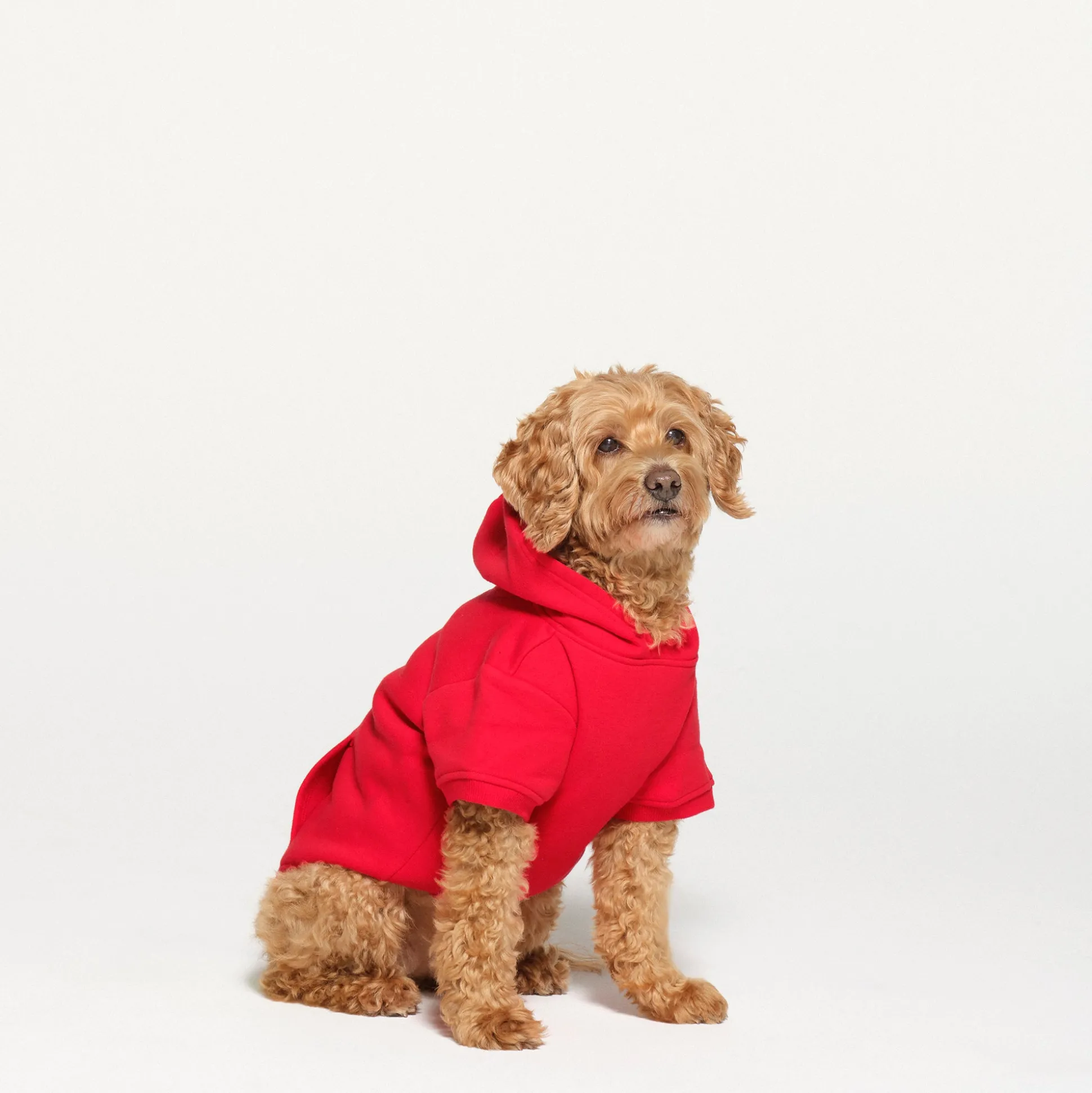 COTTON FLEECE PET HOODIE | RUBY
