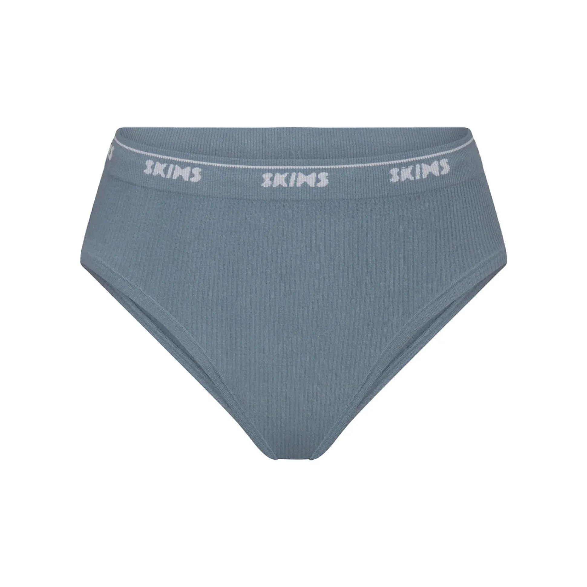 LOGO RIB HIGH LEG BIKINI | ARCTIC